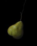 Filename=BrayPearPendulum.jpg
Filesize=46KB
Dimensions=513x640
Date added=Sep 17, 2010 BrayPearPendulum.jpg