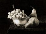 Filename=robinette_grapes_and_pears.jpg
Filesize=189KB
Dimensions=550x407
Date added=Nov 17, 2009 robinette_grapes_and_pears.jpg